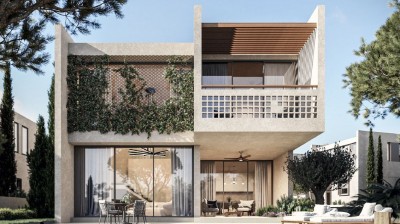 Modern Sophistication