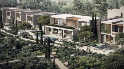 Modern Sophistication