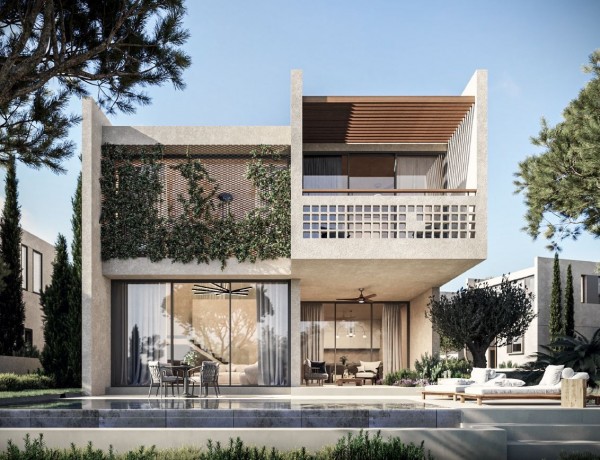 Modern Sophistication
