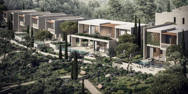 Modern Sophistication