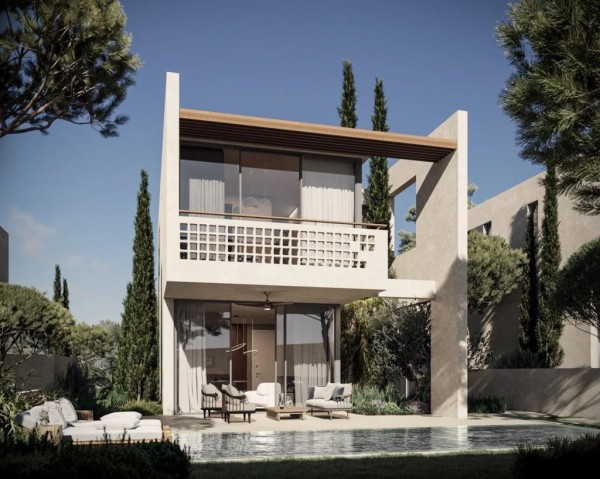 Modern Sophistication